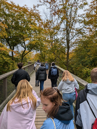 Auf dem Baumwipfelpfad