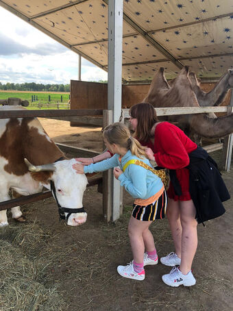 Ferienfreizeit mit Tieren